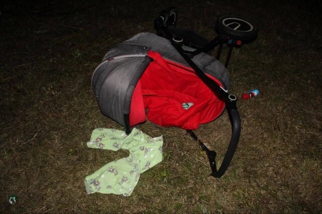    Фото: ГУ МВД по Красноярскому краю