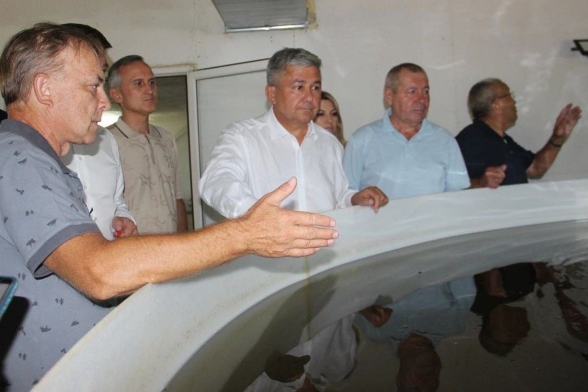   предоставлено пресс-службой Зеленодольского района