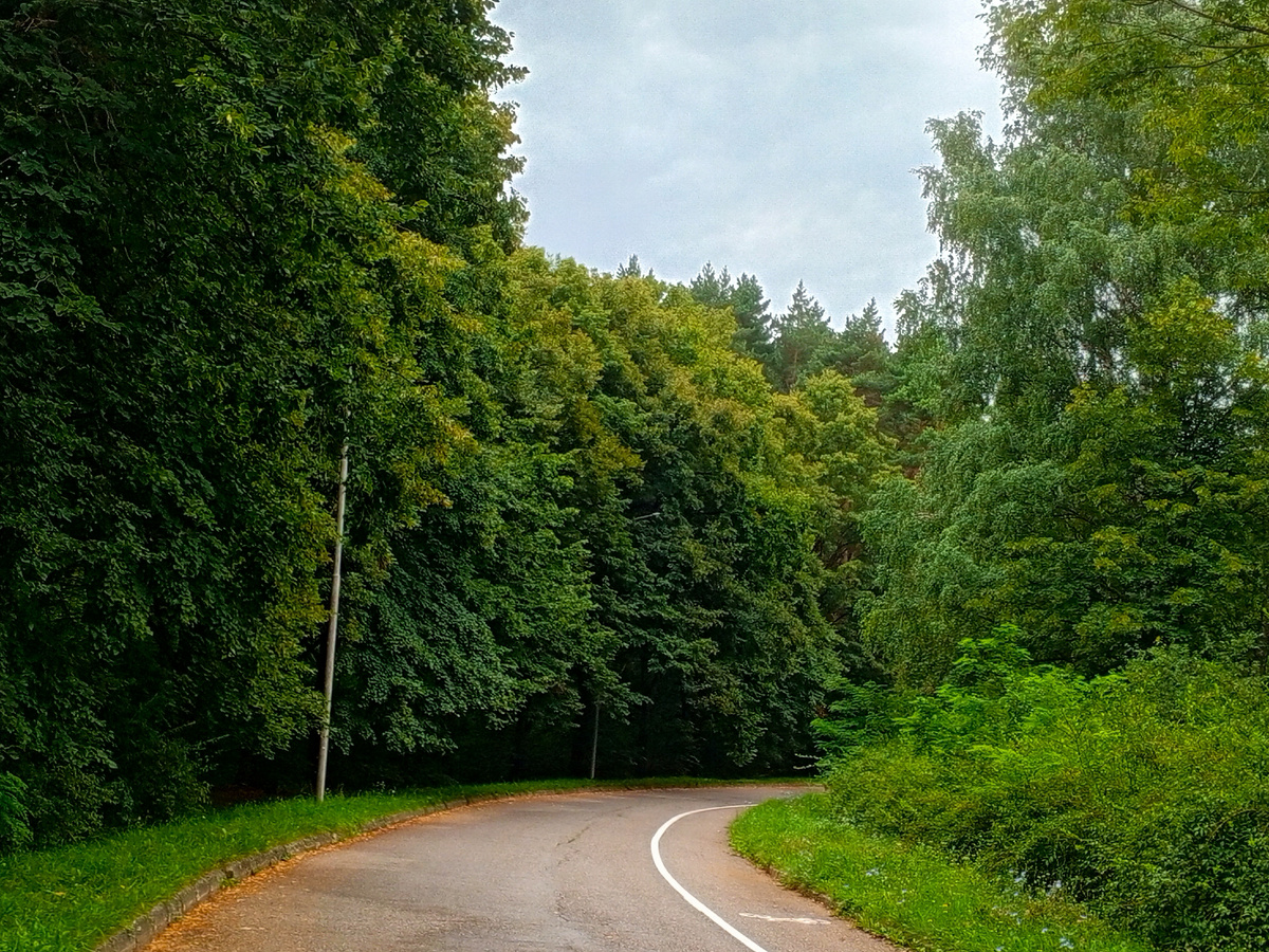 Вход в Курортный парк со стороны санатория Пикет.