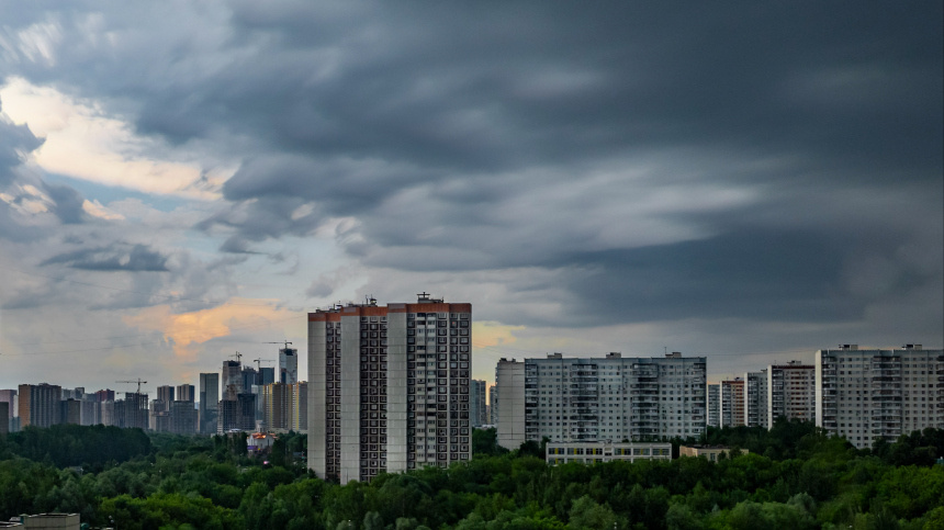    Фото: ИЗВЕСТИЯ/Константин Кокошкин