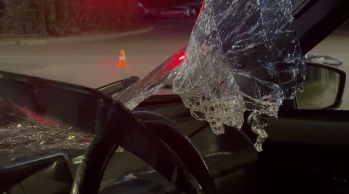 Фото: УМВД России по Курской области