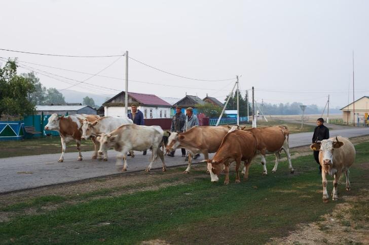    Фото: Пруфы