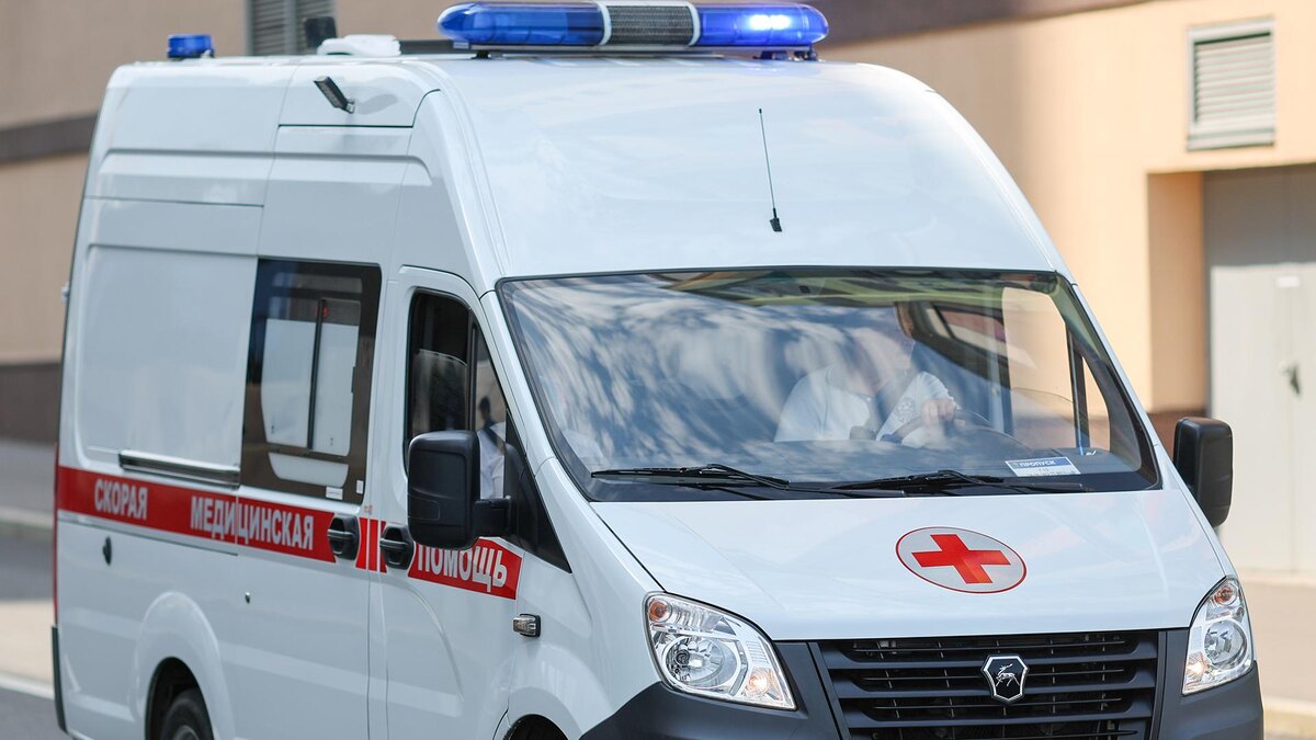    Фото: Belkin Alexey/globallookpress.com