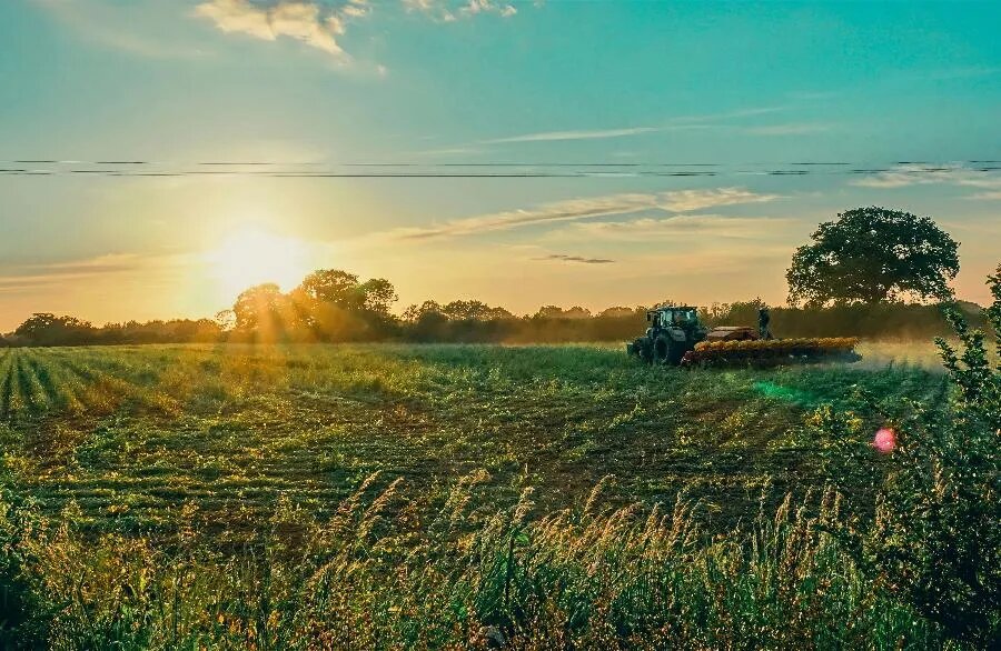 ФОТО Bunny Pickard on Unsplash