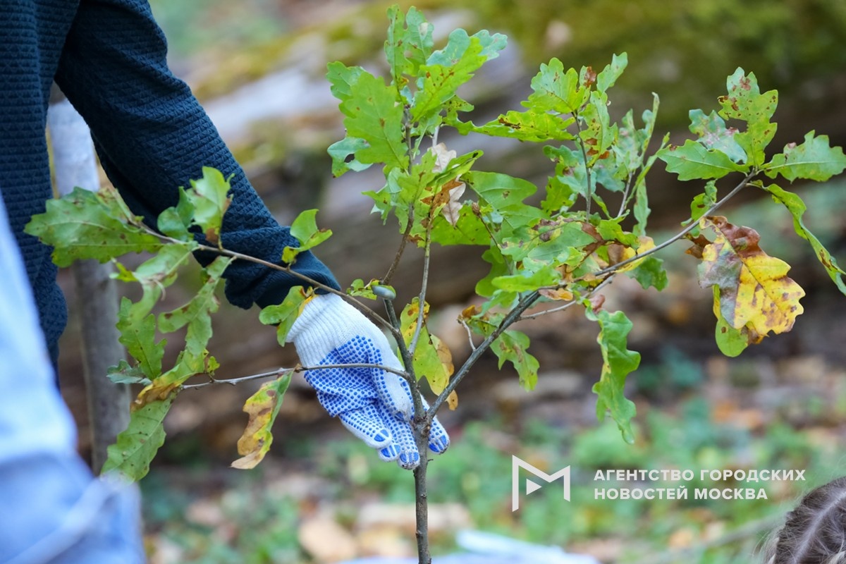 Фотограф: Сергей Ведяшкин