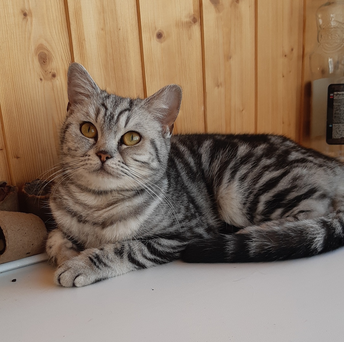 Мия Бусильдовна в образе.