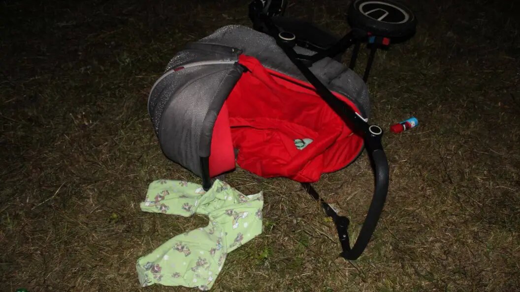    Фото: ГУ МВД по Красноярскому краю