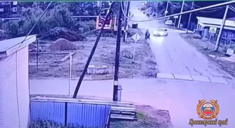    Фото: ГУ МВД по Красноярскому краю