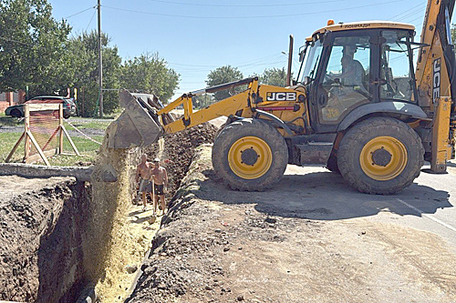    Фото: donland.ru Администратор