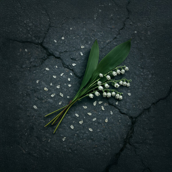     Nansi & Sidorov выпустили киношную песню «Привет»