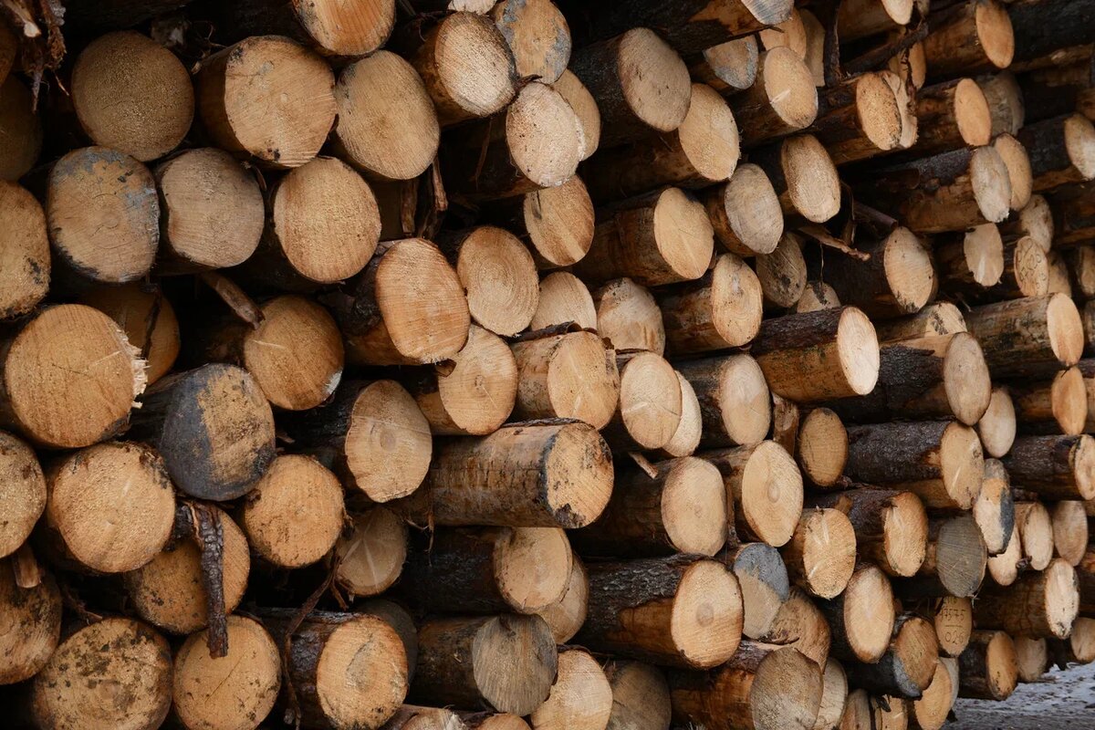    Фото: "Республика"/ Лилия Кончакова