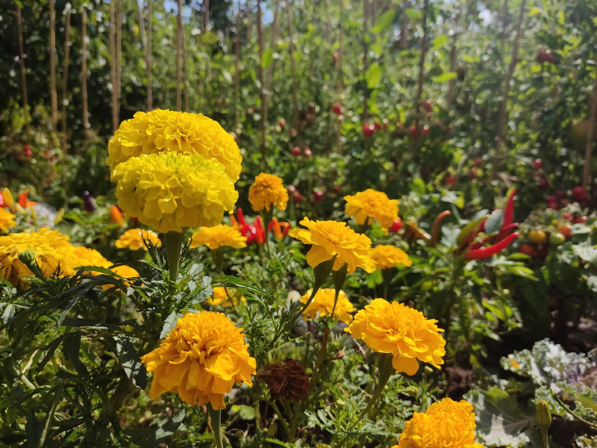 Здесь хорошо видно несовпадение оттенков