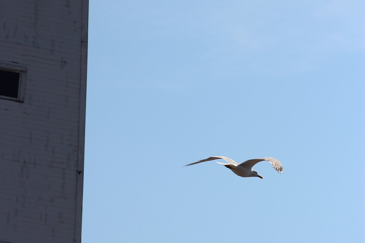    Фото: Артём Шляхов Источник: RuNews24.ru
