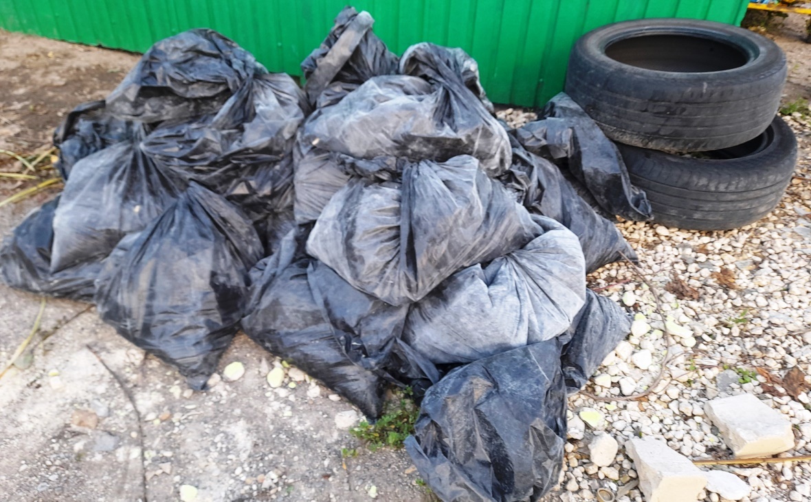 Фото: РБК Черноземье