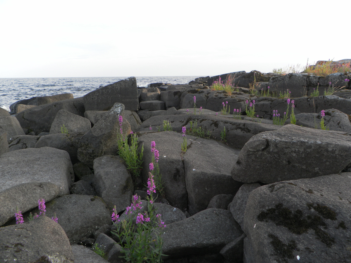 На Крестовом острове Валаамский архипелпг