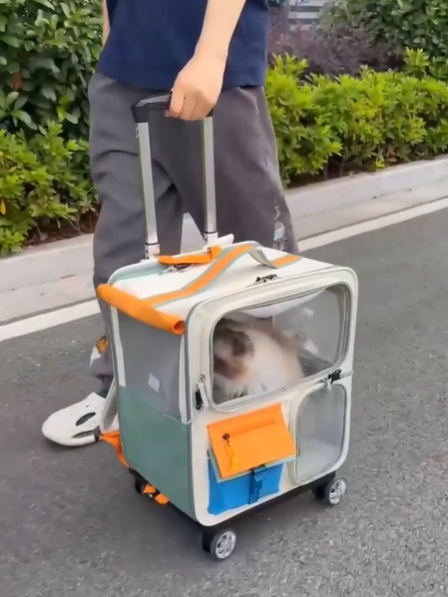 Чемодан для транспортировки животных с их вещами