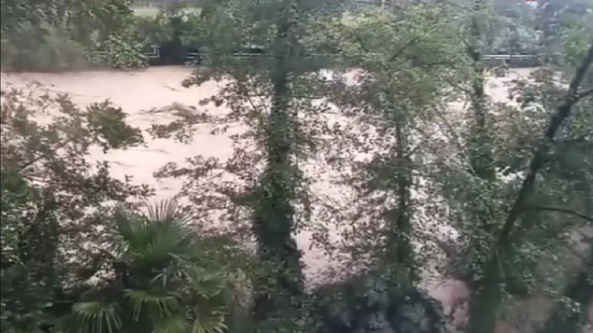    Фото: Telegram-канал РЕН ТВ / скриншот