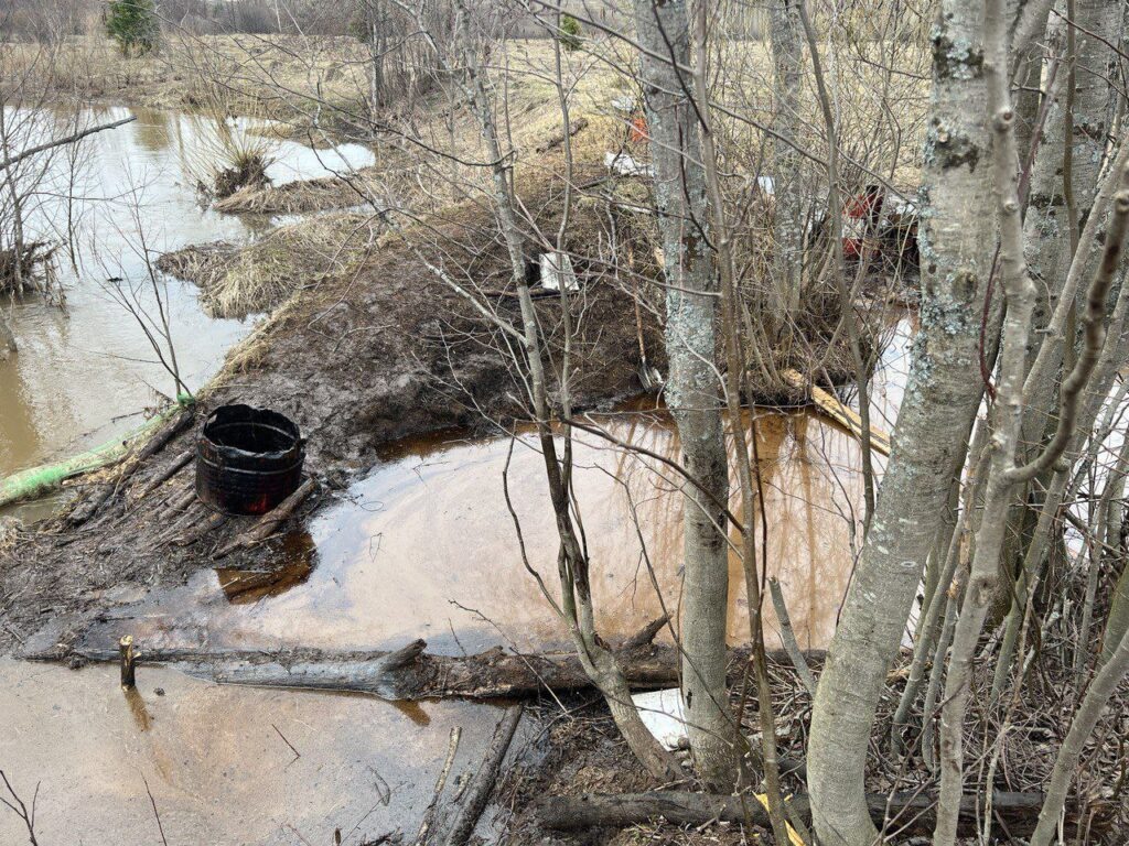    Фото: Прокуратура Пермского края Полина Анкушина