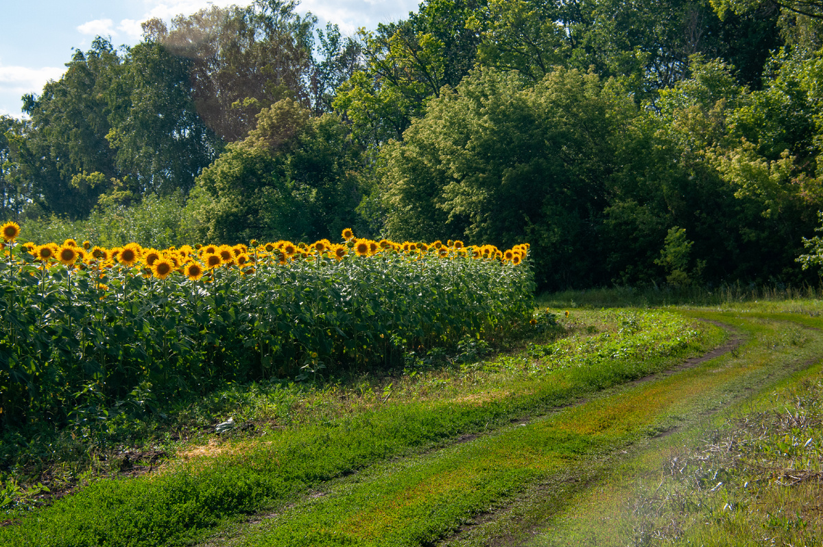 фото:Nikolay Gyngazov/Global Look Press
