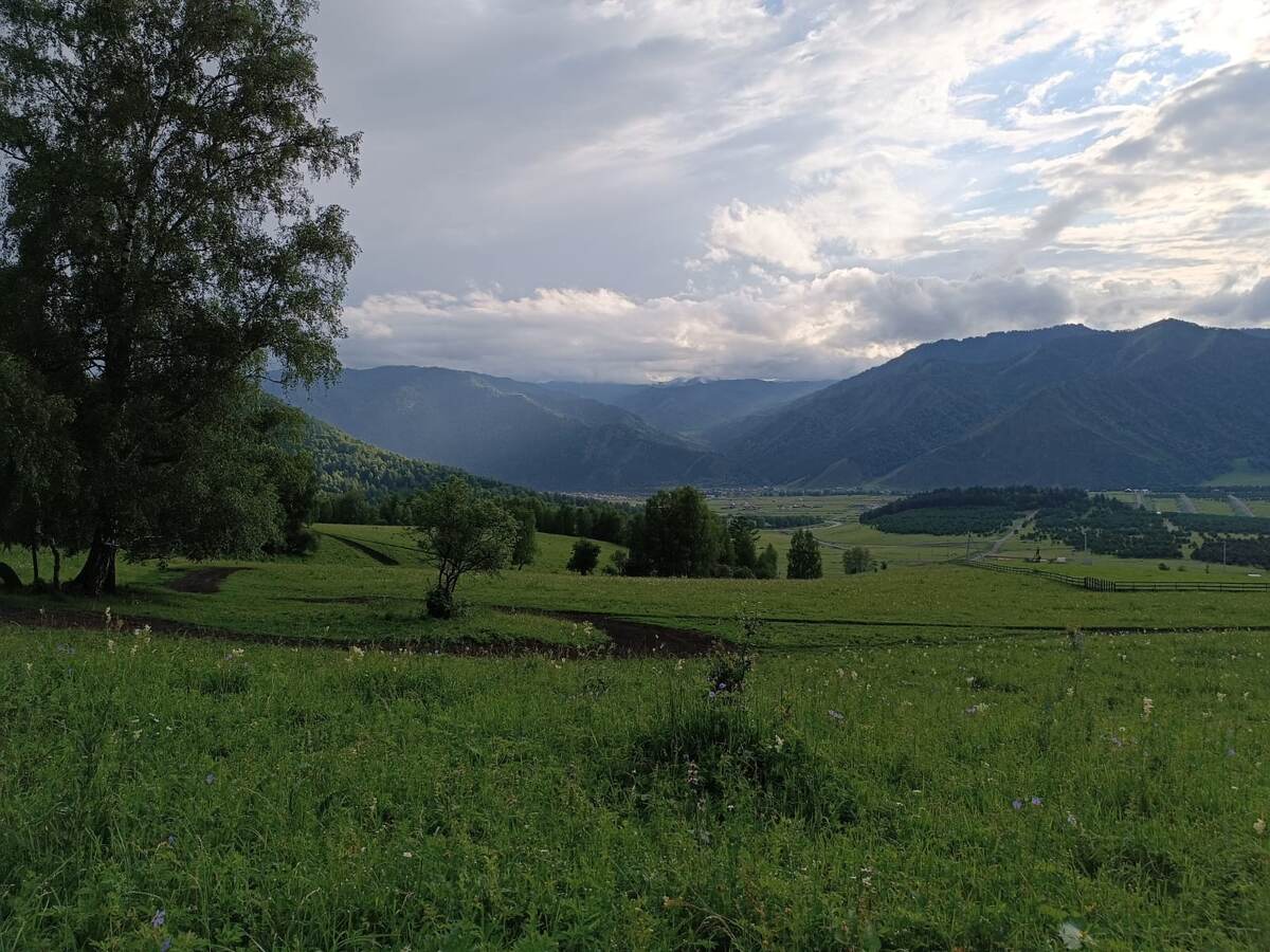 Фото автора