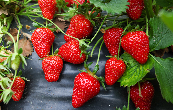 Дмитрий Феоктистов/ТАСС