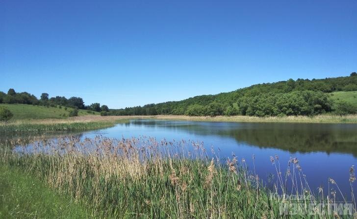    фото Курские известия