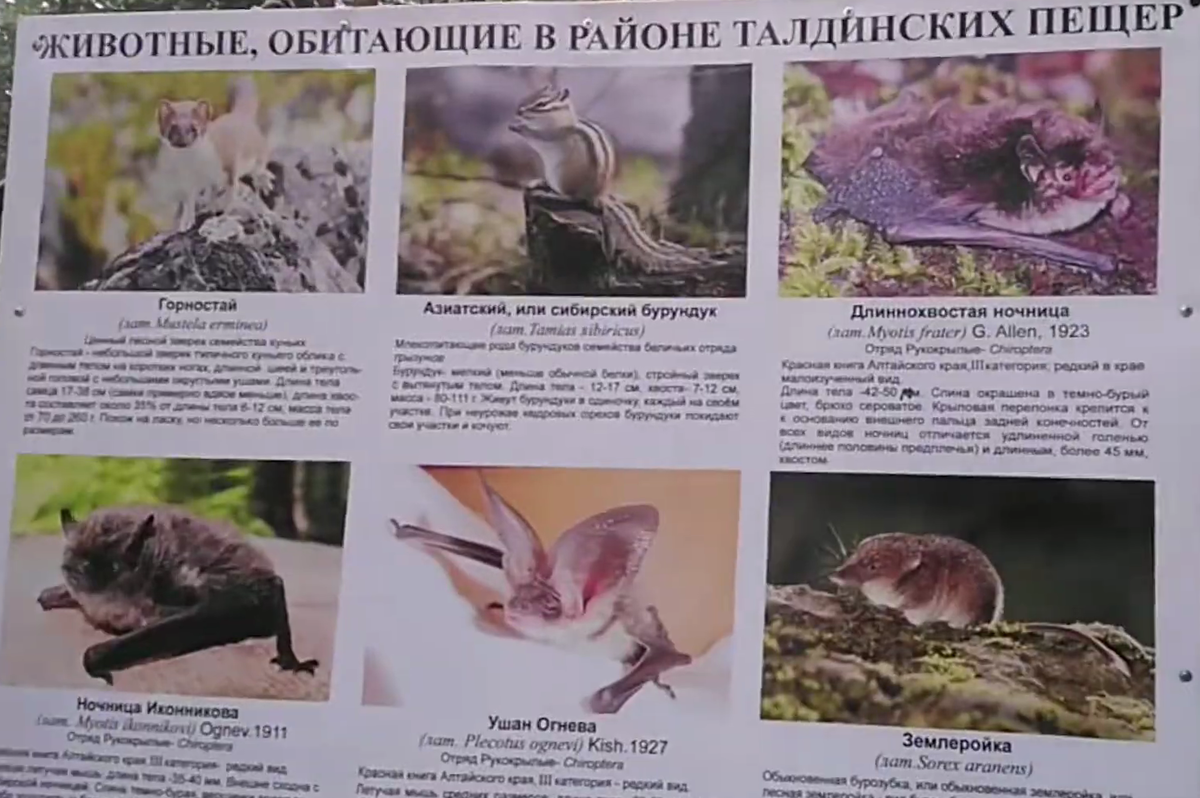 Талдинские (Тавдинские) Пещеры