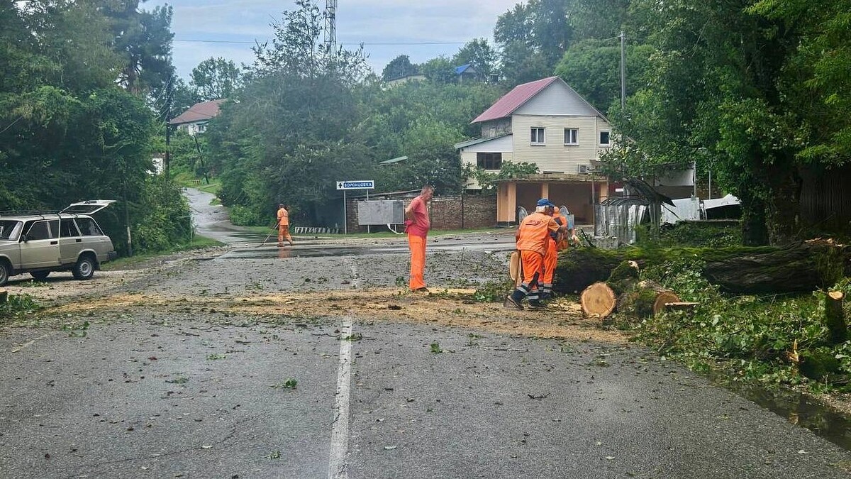    Фото: пресс-служба администрации Сочи