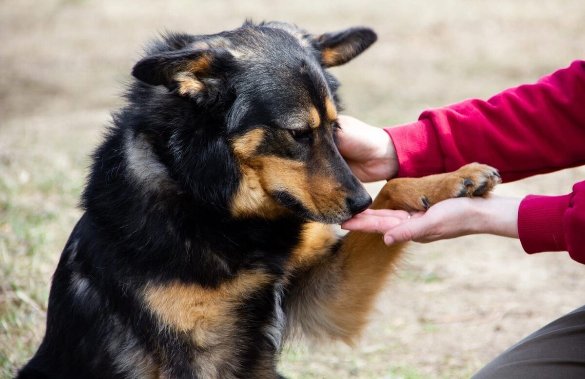 источник: igrosam