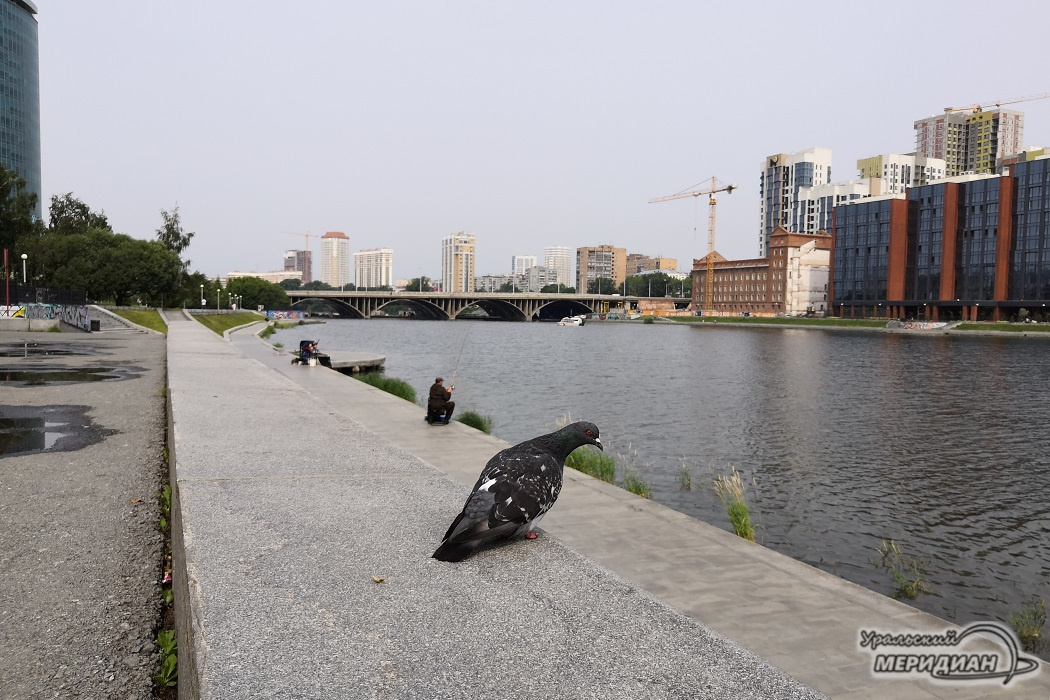    Фото: Ксения Жигалова © ИА «Уральский меридиан»