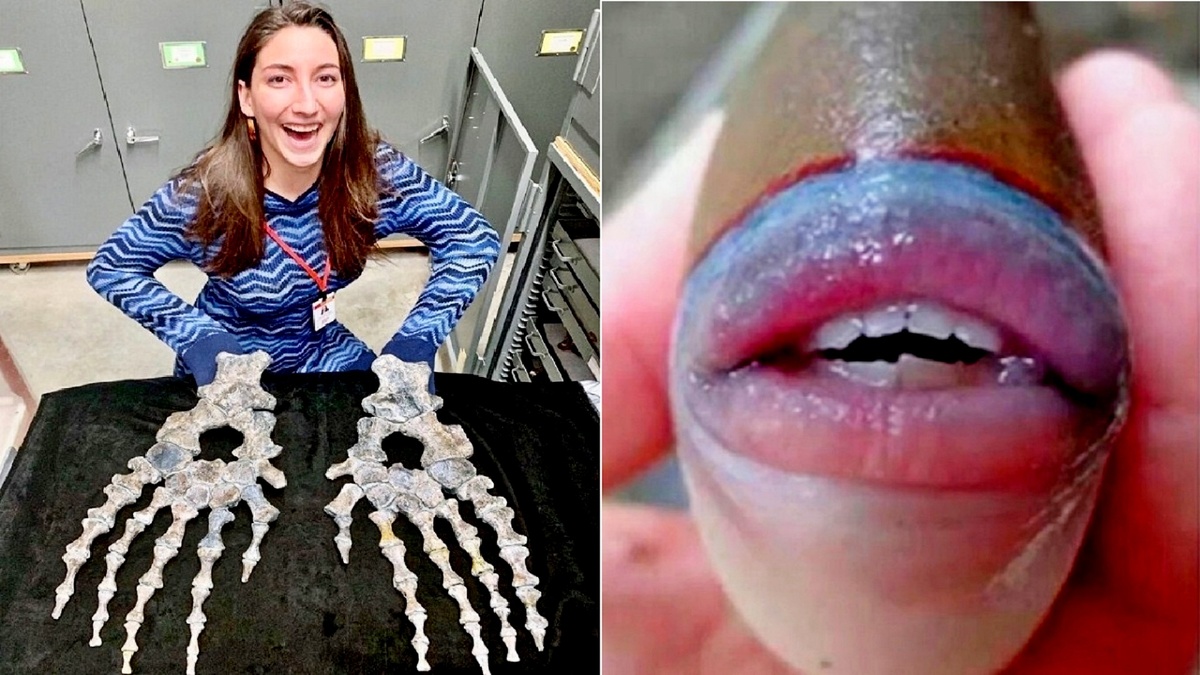 19 удивительных фотофактов, которые доказывают, что наш мир гораздо страннее, чем мы думаем