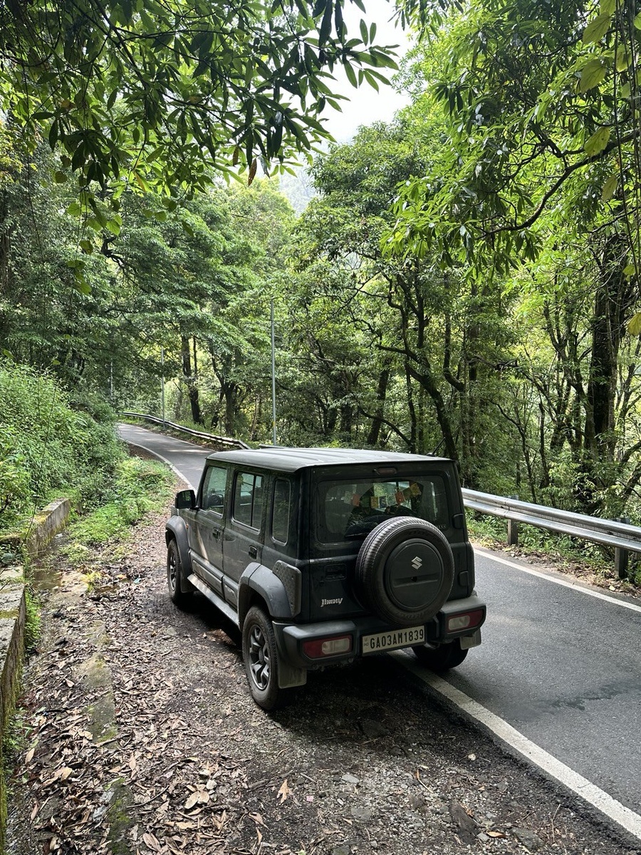 Наш друг и товарищ в путешествии