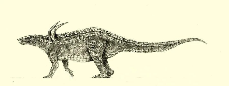 Десматозух.