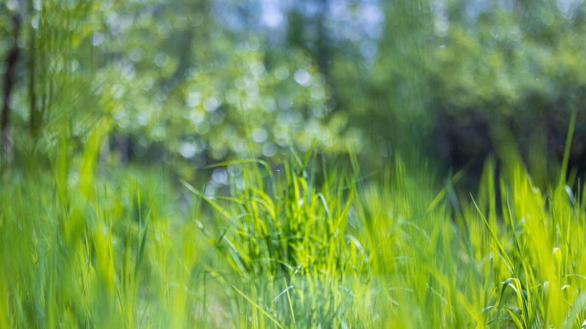    Фото: Федор Воронов/«Ямал-Медиа»
