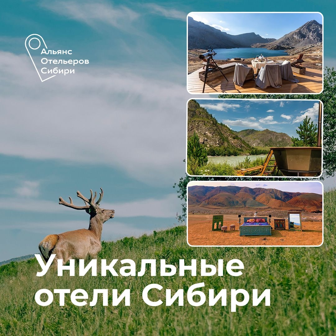 Фото: сайты отелей АОС