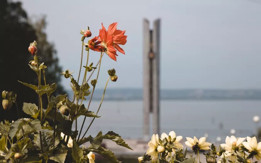    Погода в Ижевске на выходные: с 9 по 11 августа ждем дожди и не выше +23°С