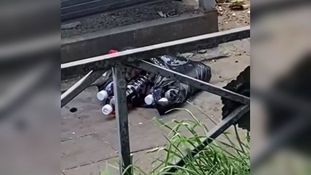    Фото: соцсети