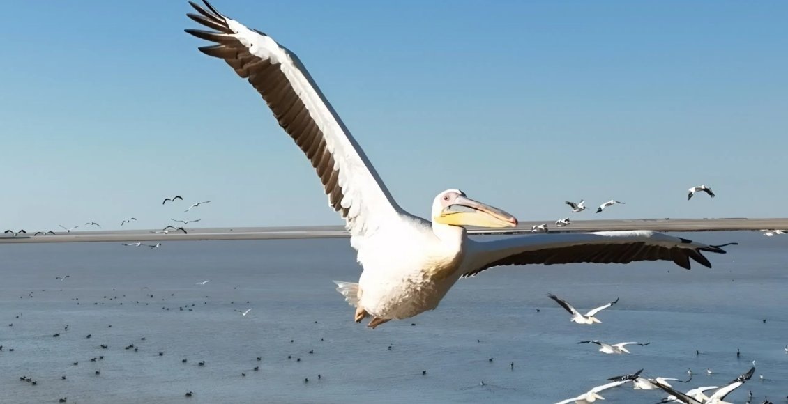    Фото: пресс-служба Росзаповедцентра Минприроды России