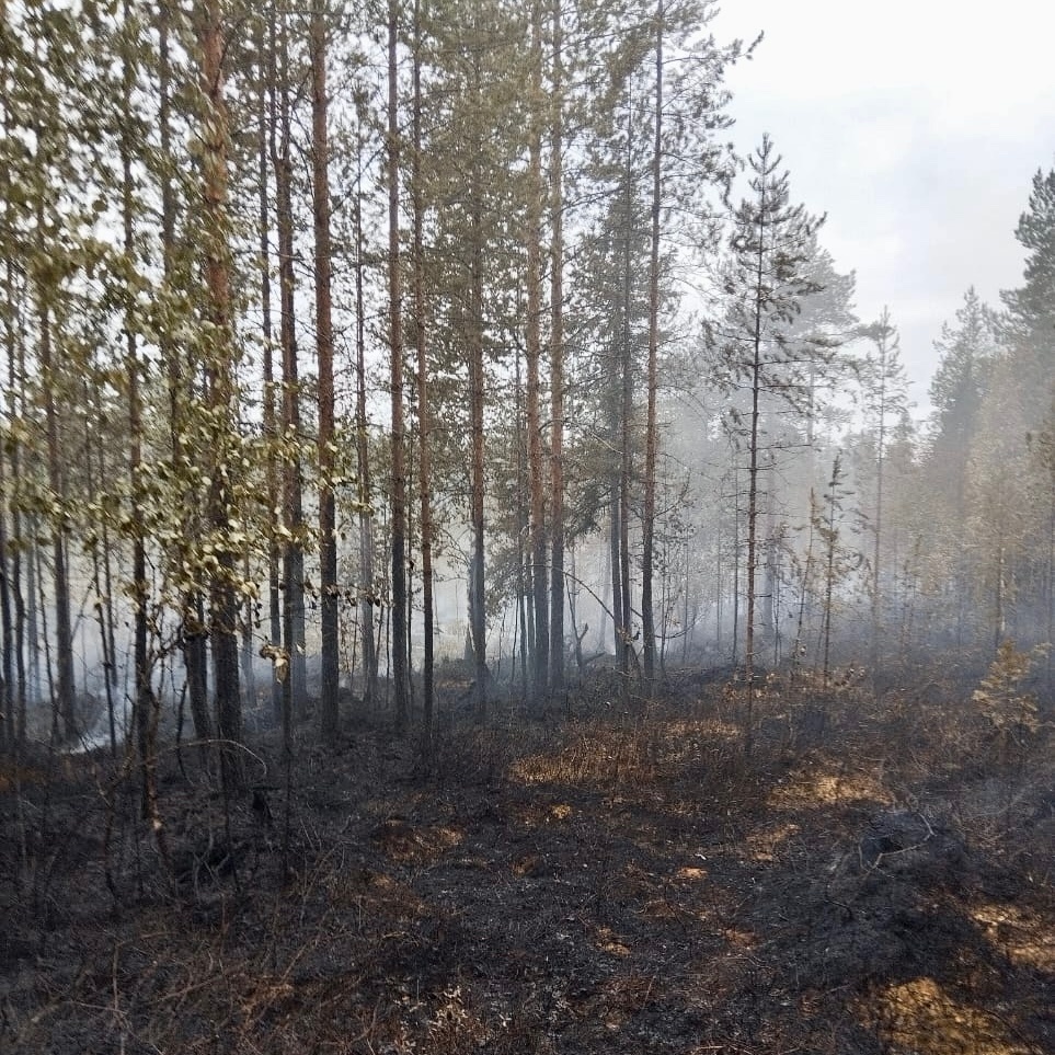    Фото: Олег Поляков / ВК