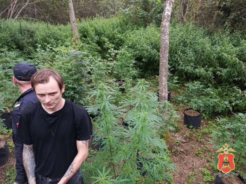 Фото: пресс-служба регионального УМВД