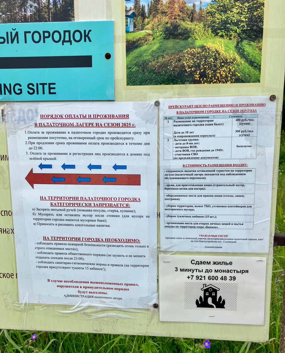 Фото автора. Июнь 2025 г. 