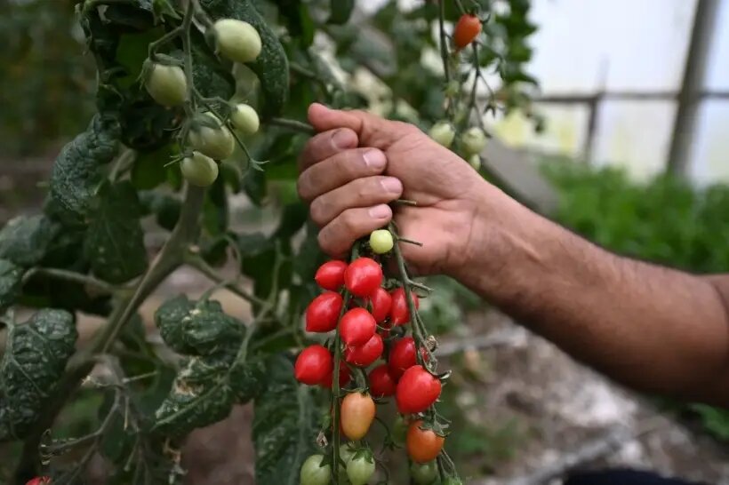     © РИА Новости. Артур Лебедев