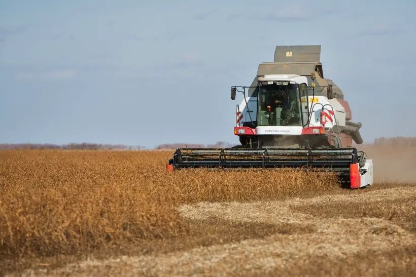     © РИА Новости. Игорь Агеенко