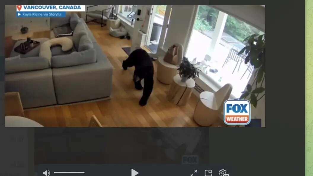    фото: канал Fox Weather.