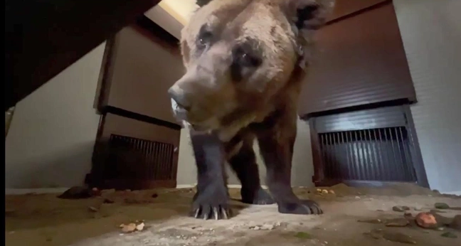    © Пермский зоопарк