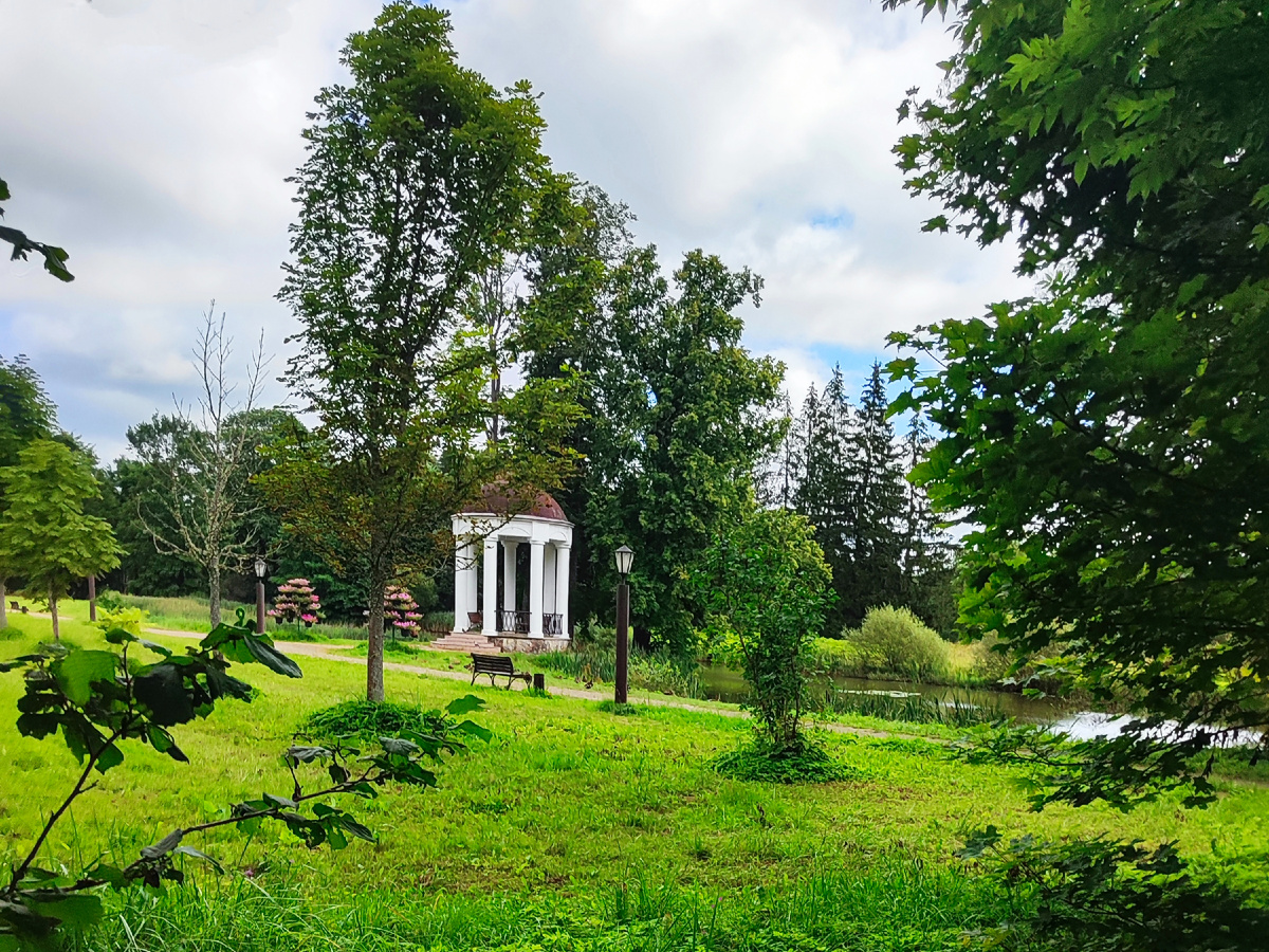 Все фото автора статьи 