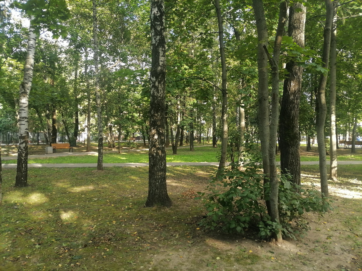 Очень хотелось посидеть на скамейке, но ветерок колючий, сидеть не даёт, заставляет двигаться. 