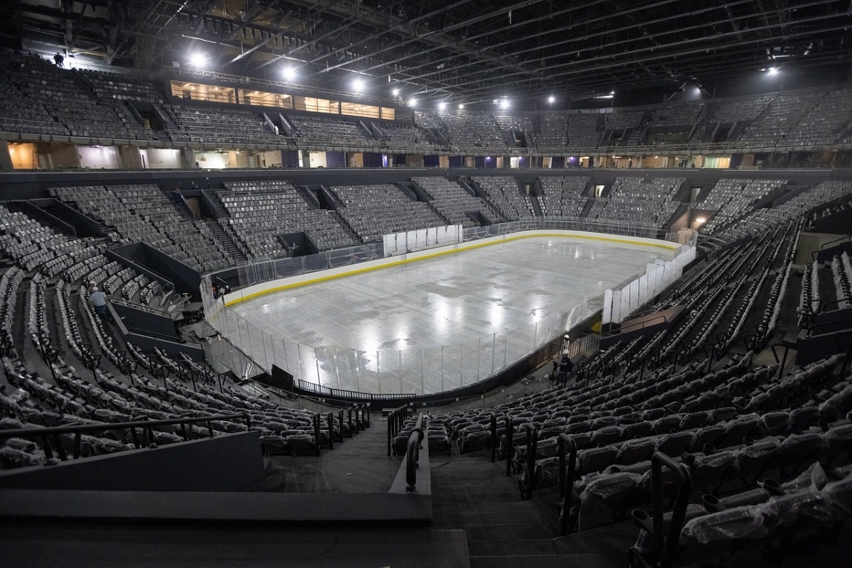    Хоккеисты \