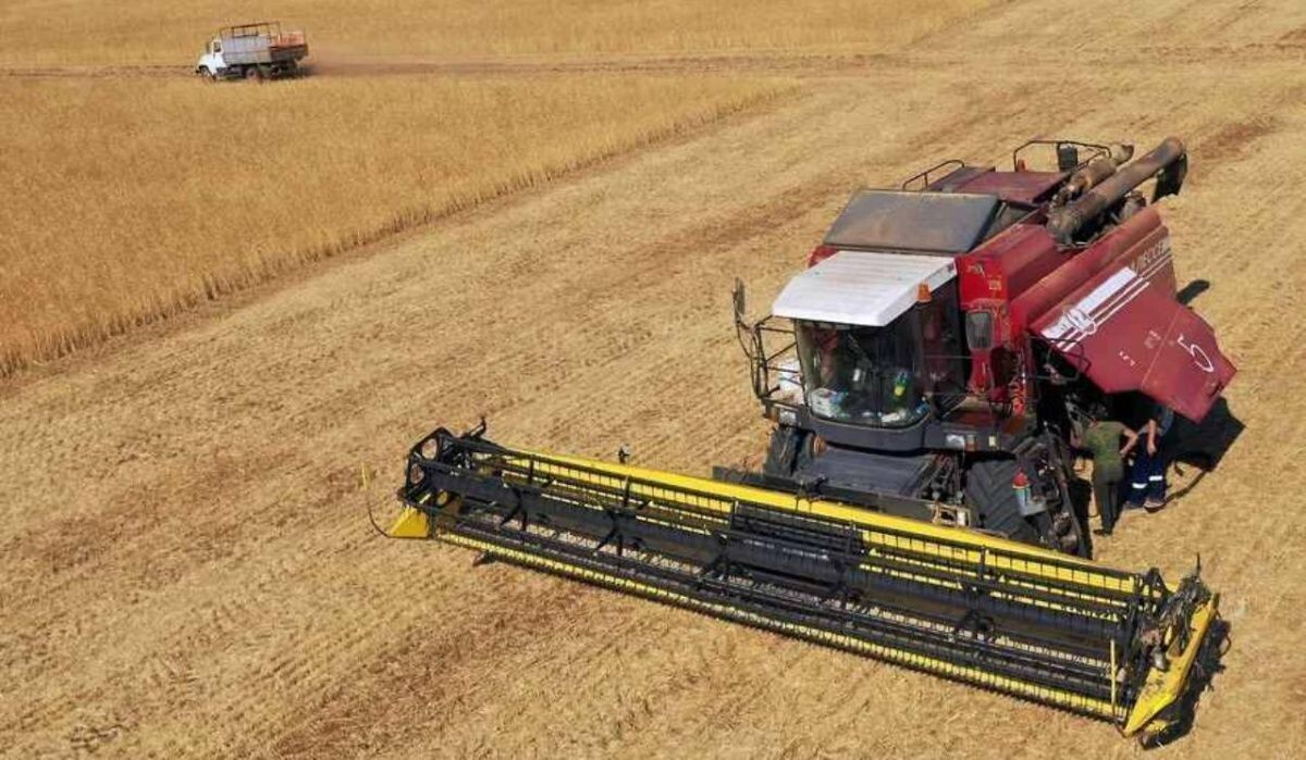     Аграрная техника. Источник: kommersant.ru Автор фото: Артем Краснов