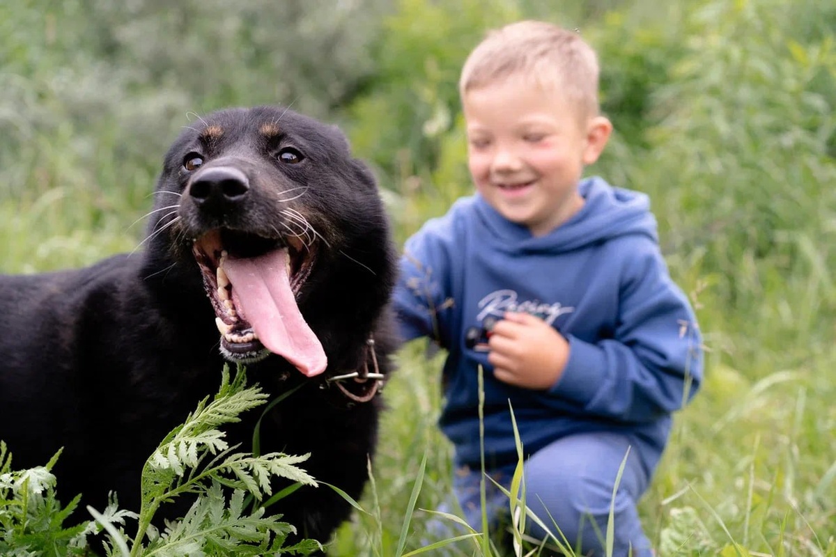 Тим в поисках дома 